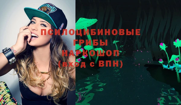 герыч Пестово