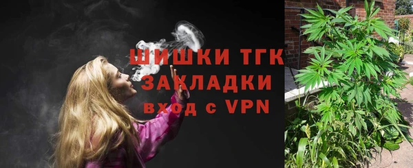 apvp Пересвет